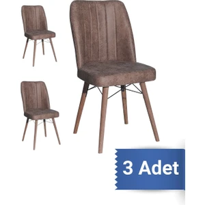 Avenza Living Kare Gold 3'lü Sandalye Mutfak Sandalyesi