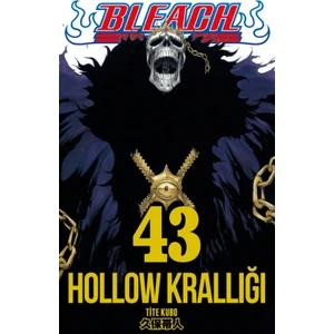 Bleach 43. Cilt