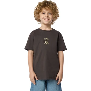 Gs Store Galatasaray 5 Yıldız Çocuk T-Shirt C251393