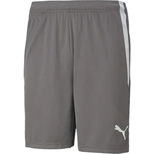Teamliga Shorts Erkek Futbol Şortu 70492413 Gri