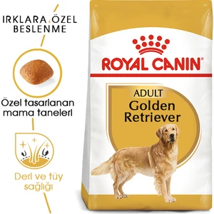 Royal Canin Golden Retriever Adult Yetişkin Köpek Maması 12 Kg