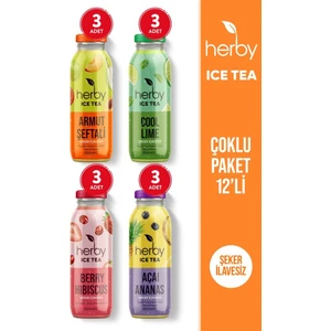Ice Tea Soğuk Çay Şeker İlavesiz Karışık Deneme Paketi 250 ml x 12