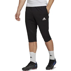 Adidas Entrada 23 3/4 Erkek Eşofman Altı