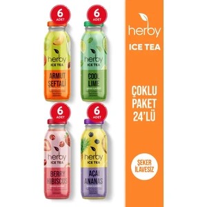 Ice Tea Soğuk Çay Şeker İlavesiz Karışık Deneme Paketi 250 ml x 24