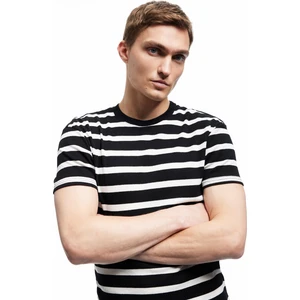 Kısa Kollu Bisiklet Yaka Slim Fit Çizgili Tişört