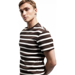 Kısa Kollu Bisiklet Yaka Slim Fit Çizgili Tişört