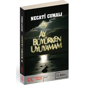 Ay Büyürken Uyuyamam