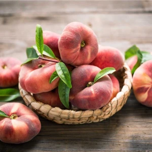 Avantajlı Yassı Şeftali Fidanı (Tüplü)