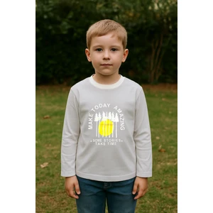 Erkek Çocuk %100 Pamuk Baskılı Uzun Kollu Tişört - Taş (3-4 Yaş 8-9 Yaş)