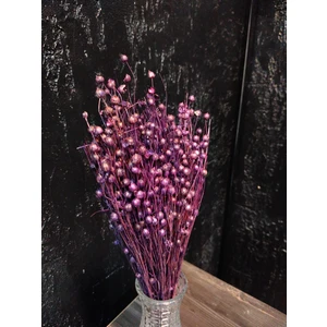 Kuru Çiçek Şoklanmış 1 Demet  Keten Otu (Luna Otu) Minimalist Dekoratif Arajman Vazo Çiçeği