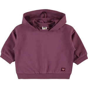 Civil Baby Erkek Bebek Kapüşonlu Sweatshirt 6-18 Ay Koyu Gül Kurusu