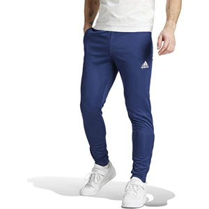 Adidas HC0333 ENT22 Tr Pnt Erkek Eşofman Altı