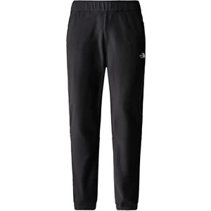 The North Face M 100 Glacıer Pant Erkek Pantolon NF0A8561JK31