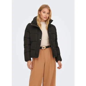 Kadın Jacket Mont 15196546
