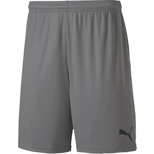 Teamgoal 23 Knit Shorts Erkek Futbol Maç Şortu 70426213 Gri