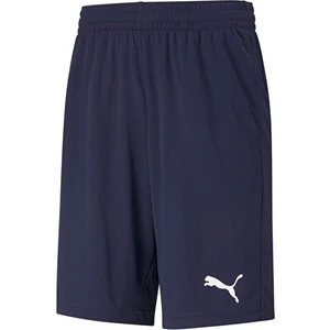 Active Interlock Erkek Şort 58672906