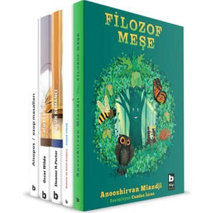 Sanat ve Felsefe Dizisi  (5 Kitap)
