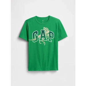Erkek Çocuk Yeşil Grafik Baskılı T-Shirt