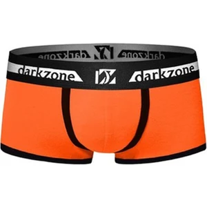 Turuncu Erkek Boxer