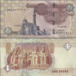 Mısır 1 Pound 2016. Abu Simbel Tapınağı ve Kayıtbay Camii Temalı. Çil Kondisyon.