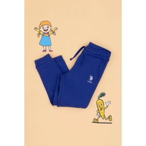 U.s. Polo Assn. Kız Çocuk Mor Eşofman Altı 50316914-VR038