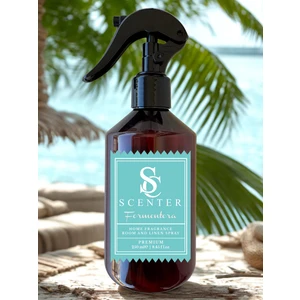 Formentera Oda ve Çamaşır Spreyi Oda Kokusu 250 ml