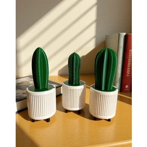 Bayan Rottenmeir Yapay Kaktüs 3'lü Set Yk3 - Yapay Çiçek - Yapay Bitki