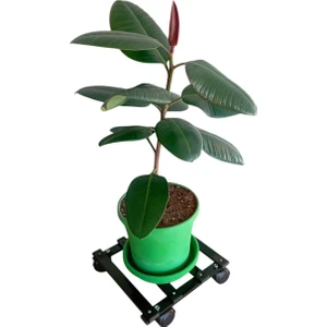 Metal Tasarım Tekerlekli Saksı Altlığı 30 cm Taşınabilir Hareketli Demonte Saksılık Damacanalık