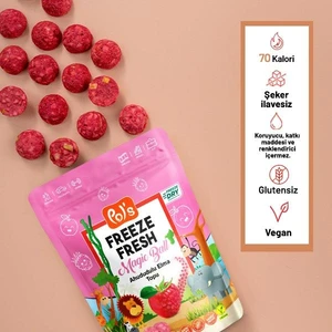 Freeze Fresh Dondurularak Kurutulmuş Magic Ball Ahududulu Elma Topu 20 gr