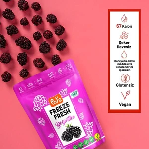 Pol's Freeze Fresh Pol’s Freeze Fresh Dondurularak Kurutulmuş Böğürtlen 20 gr
