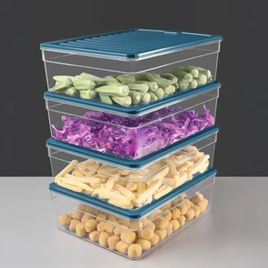 4'lü Derin Buzdolabı Organizer Set Düzenleyici Saklama Kabı Mikrodalga Difriz Kabı 5300ML Mavi