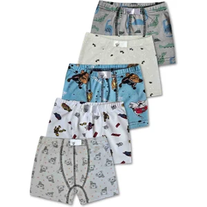 %95 Pamuklu Erkek Çocuk Boxer Külot Iç Çamaşır 5li Set