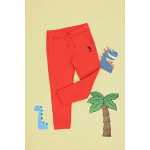 U.S. Polo Assn. Kız Çocuk Kırmızı Şardonlu Jogger Eşofman Altı 50316914-VR030