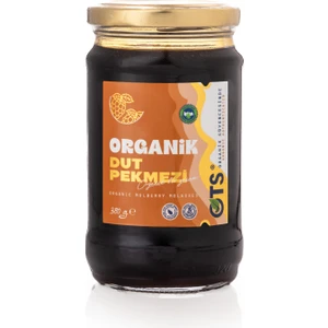 OTS Organik Dut Pekmezi 380 g.