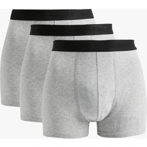 Basic Pamuklu 3'lü Boxer Seti