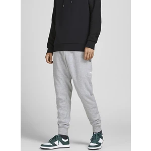 Jack & Jones Jpstwıll Jjaır Sweat Pants Noos Bex Gri Erkek Eşofman 12184970-Light