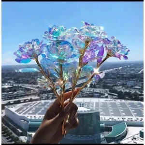 Sonsuzluk Gülü Rengarenk Hologramlı Sevgiliye Hediye 24 cm Galaxy 1 Adet