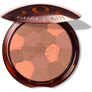 Terracotta Bronze Powder Light 05