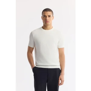 Erkek Ekru Regular Fit Bisiklet Yaka Dokulu Triko T-shirt B005119