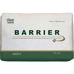 Borlu Kaolin 12,5 Kg