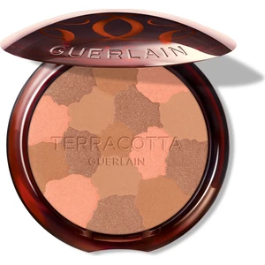 Terracotta Bronze Powder Light 03
