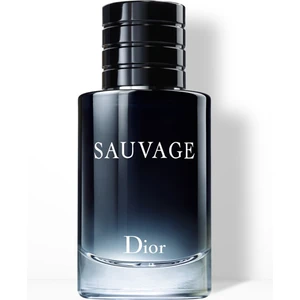 C. Sauvage Erkek Edt60ml