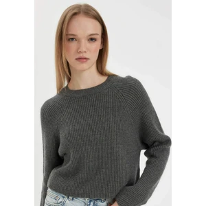 Coool Regular Fit Bisiklet Yaka Basic Düz Triko Kazak L2567AZ24WN