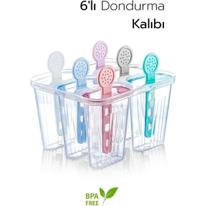 6 Bölmeli Dondurma Kalıbı ve Çubukları - Bpa Free | 7,5 x 5,5 x 3 cm