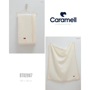 100*120 Bebek Battaniyesi BTU2067 Bebek Battaniye