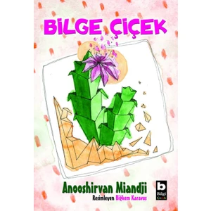 Bilge Çiçek - Anooshirvan Miandji