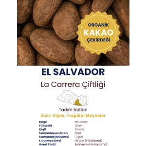 Eleonora Coffee Roasters 250GR El Salvador Organik Kavrulmuş Criollo Kakao Çekirdeği