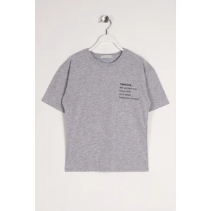 Erkek Çocuk Gri Melanj Renkli Timeless Baskılı Tişört
