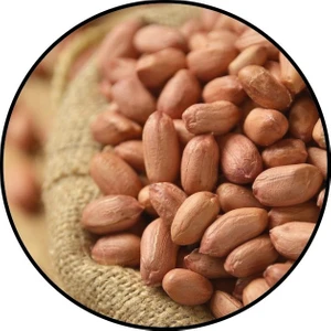 AG GIDA 
YER FISTIĞI TUZSUZ
500 GR