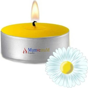 10 Lu Papatya Kokulu Sarıtealight Mum